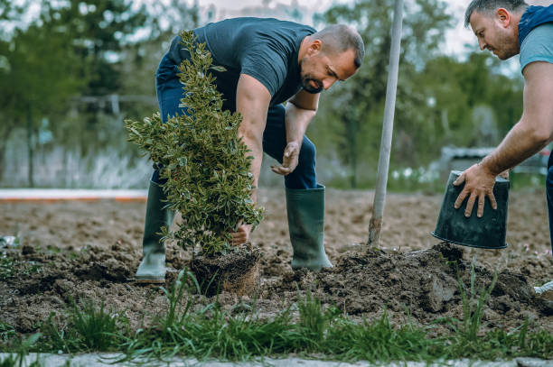 Lawn Watering Services in West Chester, PA